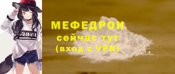 мдпв Богородск
