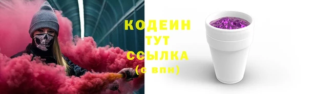 мдпв Богородск