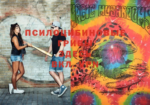 гашишное масло Богородицк