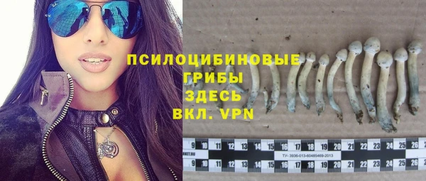 мдпв Богородск