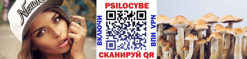 Галлюциногенные грибы ЛСД  где можно купить   Берёзовка 